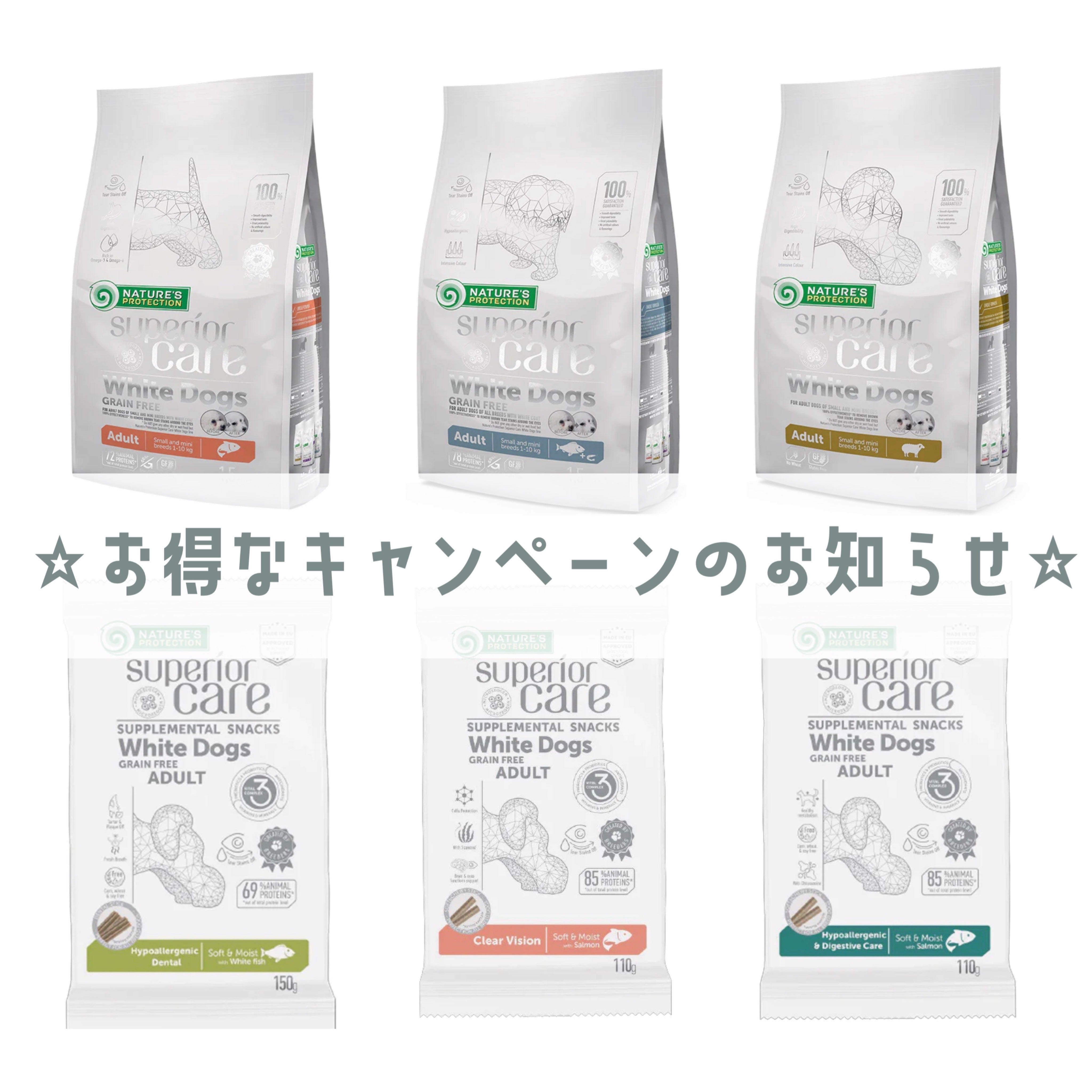 お得なキャンペーン始まりました!