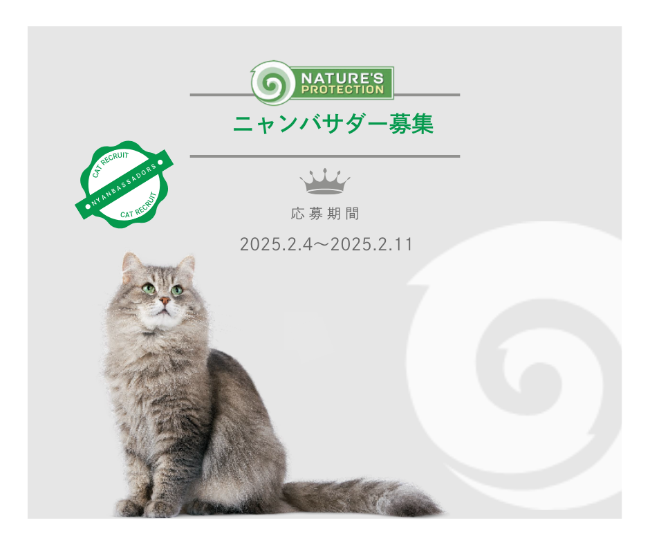 🐈ニャンバサダーになりませんか?👑
