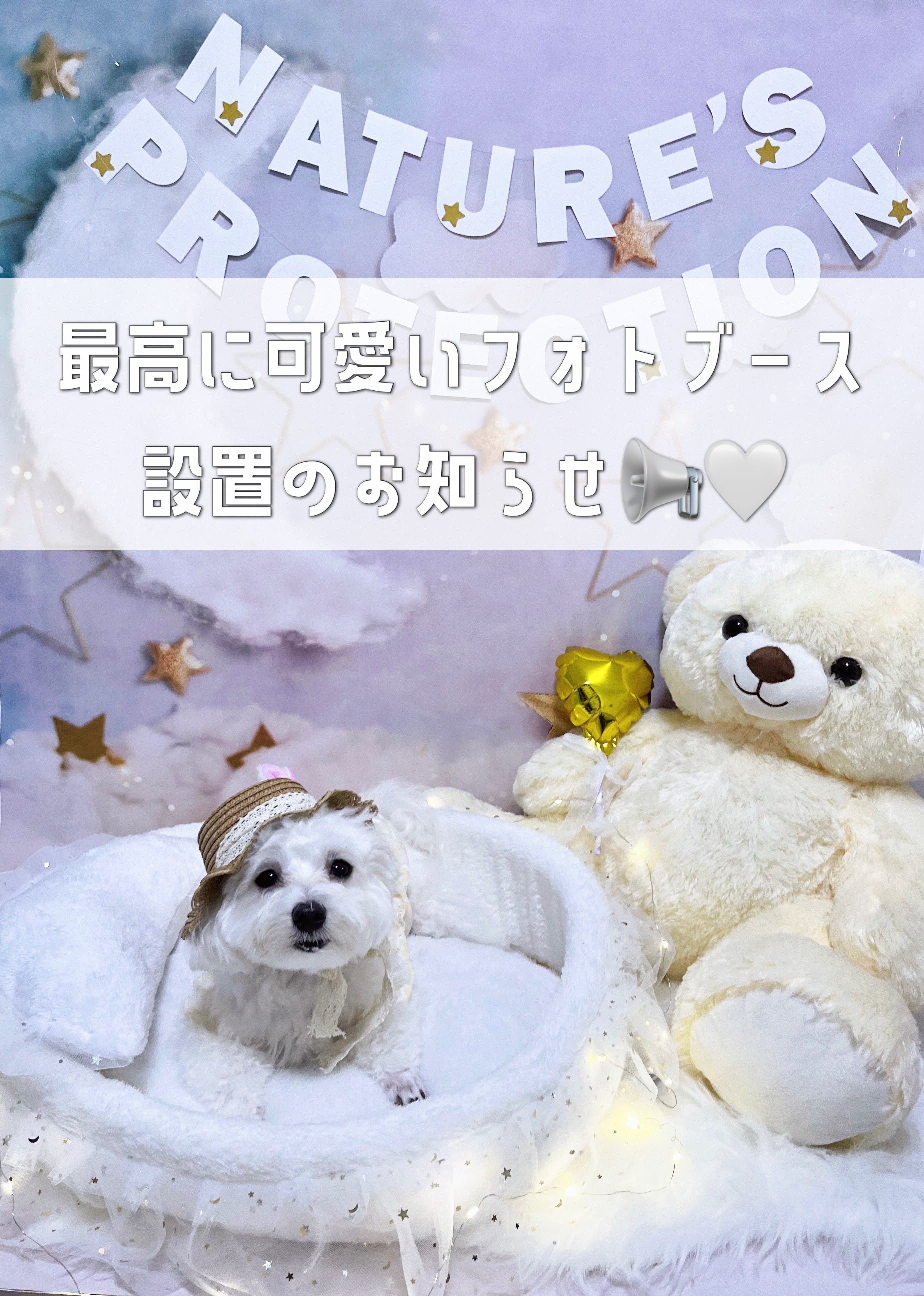 インターペット大阪では…なんと★