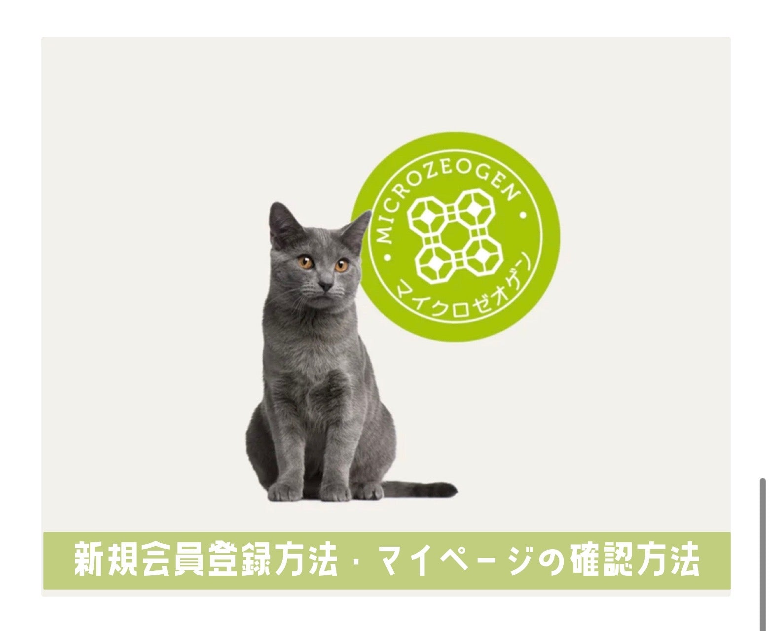 新規会員登録方法とマイページの確認方法について★