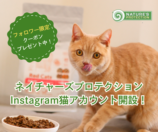🎉 ネイチャーズプロテクション公式Instagram猫アカウント開設!フォロワー限定クーポン配布中🐾