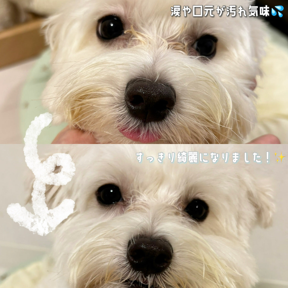 涙焼けのスポットケアにはこれ!使い方も詳しく★