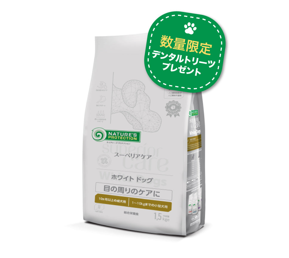 サイトリニューアルを記念して☆