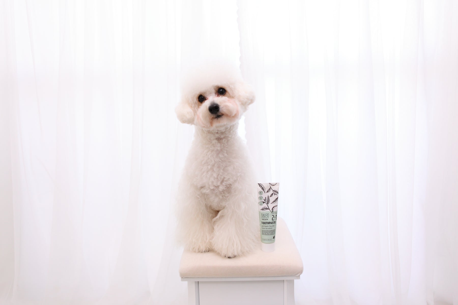 TAURO ホワイトクレイ 犬猫用 歯磨き粉 100ml