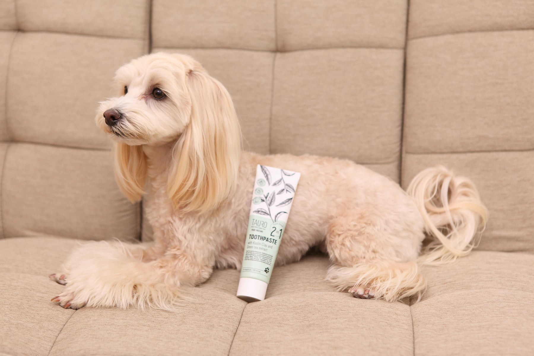TAURO ホワイトクレイ 犬猫用 歯磨き粉 100ml