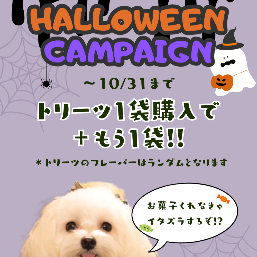 ★ハロウィンキャンペーンについて★10/10のご注文確定分から対象