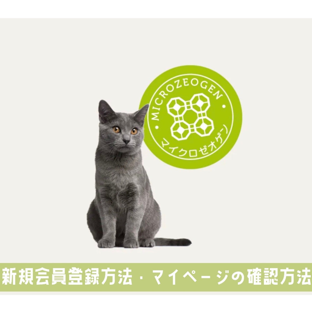 新規会員登録方法とマイページの確認方法について☆