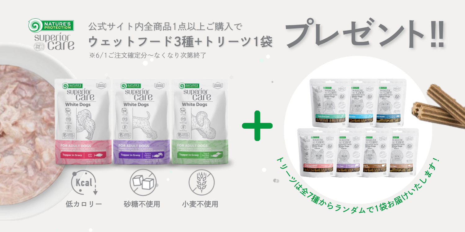 【6/1からキャンペーン】新作ウェットフード全3種+トリーツ1種プレゼント🌟【数量限定】