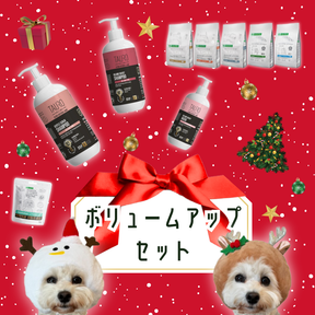 【クリスマス限定】ボリュームアップセット