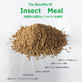 ホワイトドッグ スナック オーラルケア アダルト 150g