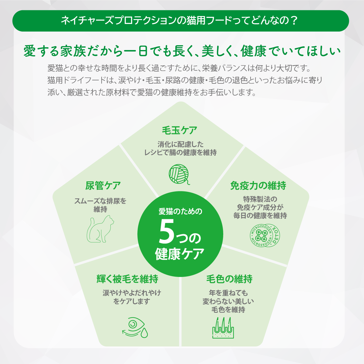 【CAT】お試しサンプルセット 成猫用3種｜代引き・複数注文不可