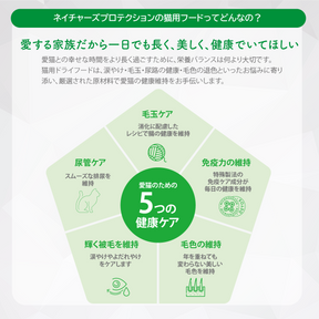 【CAT】お試しサンプルセット 成猫用3種｜代引き・複数注文不可