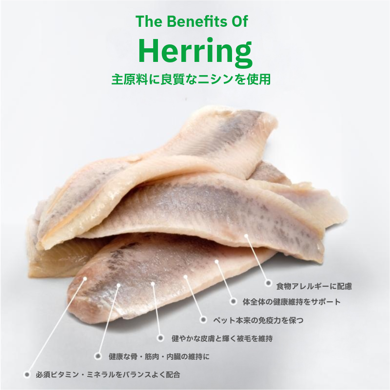 全猫種対応　ホワイトキャットアダルト　400g