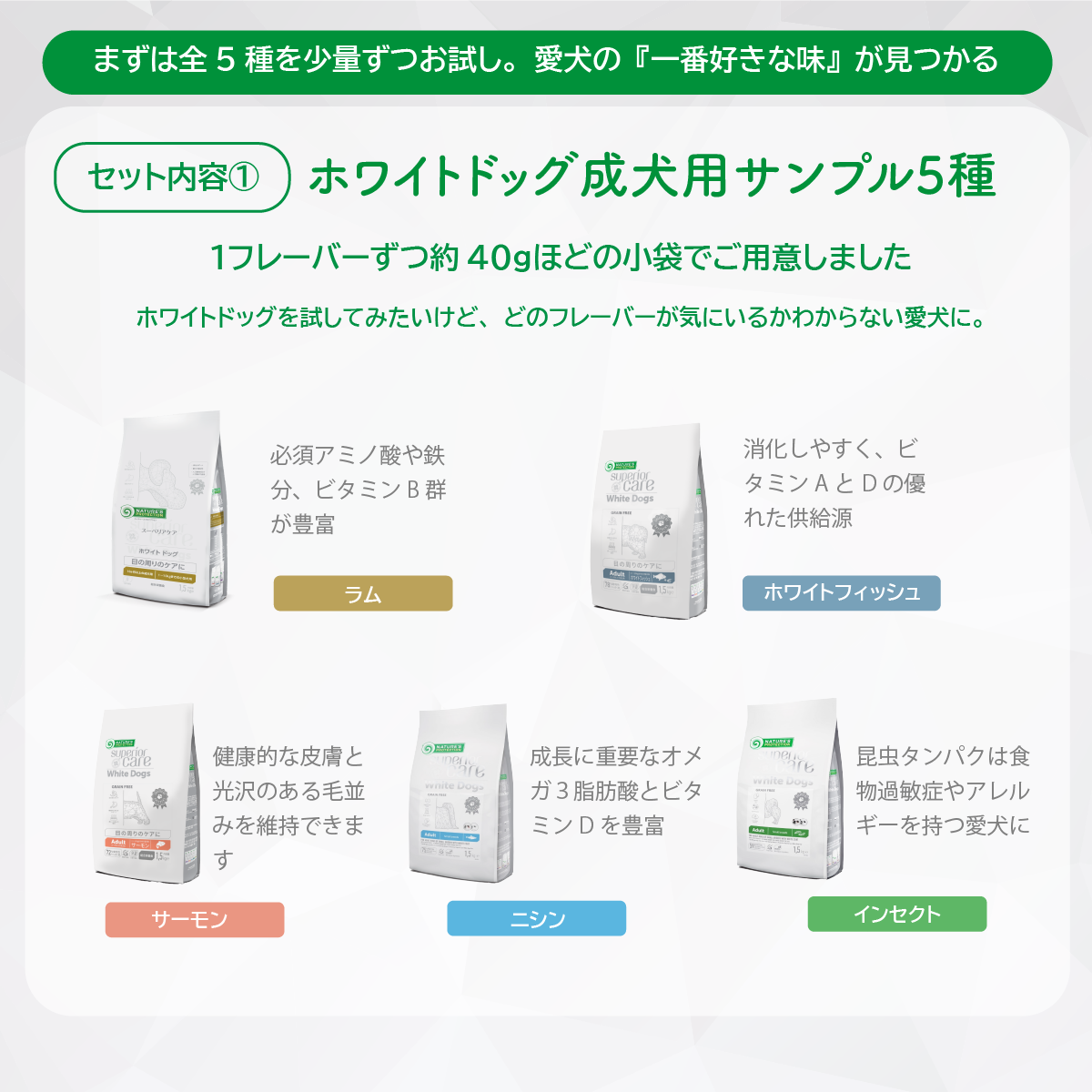 【サンプルセット】ホワイトドッグ成犬用全5種+選べるウェットフード1種【代引き・複数注文不可】