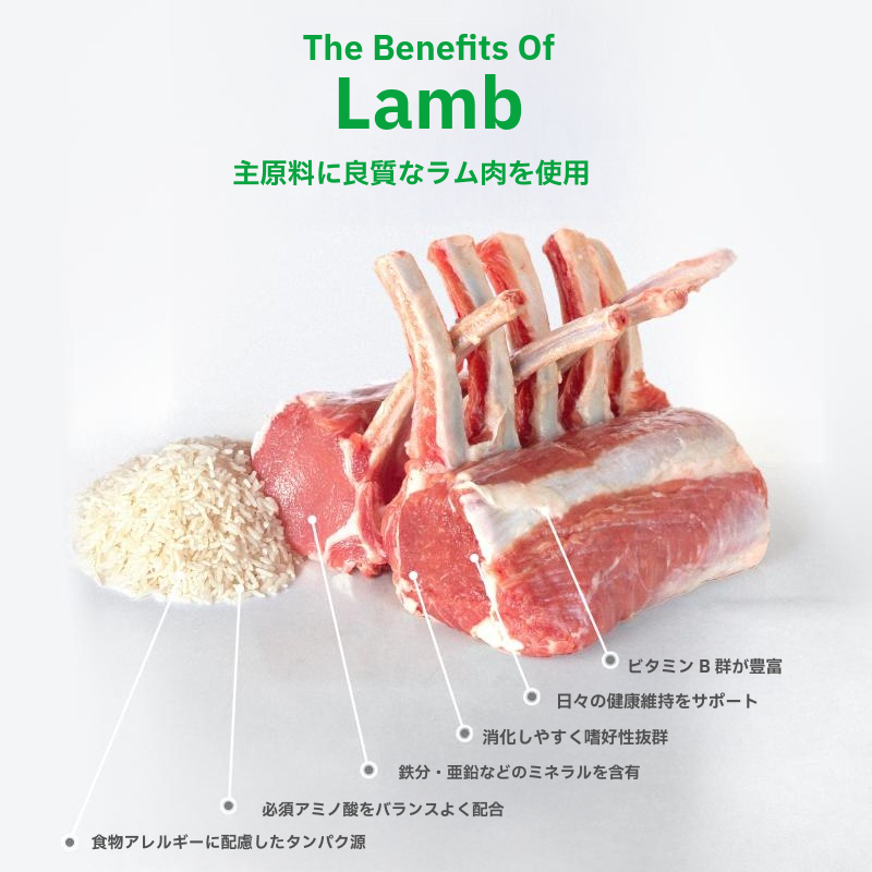 ホワイトドッグ ラム アダルト 4kg