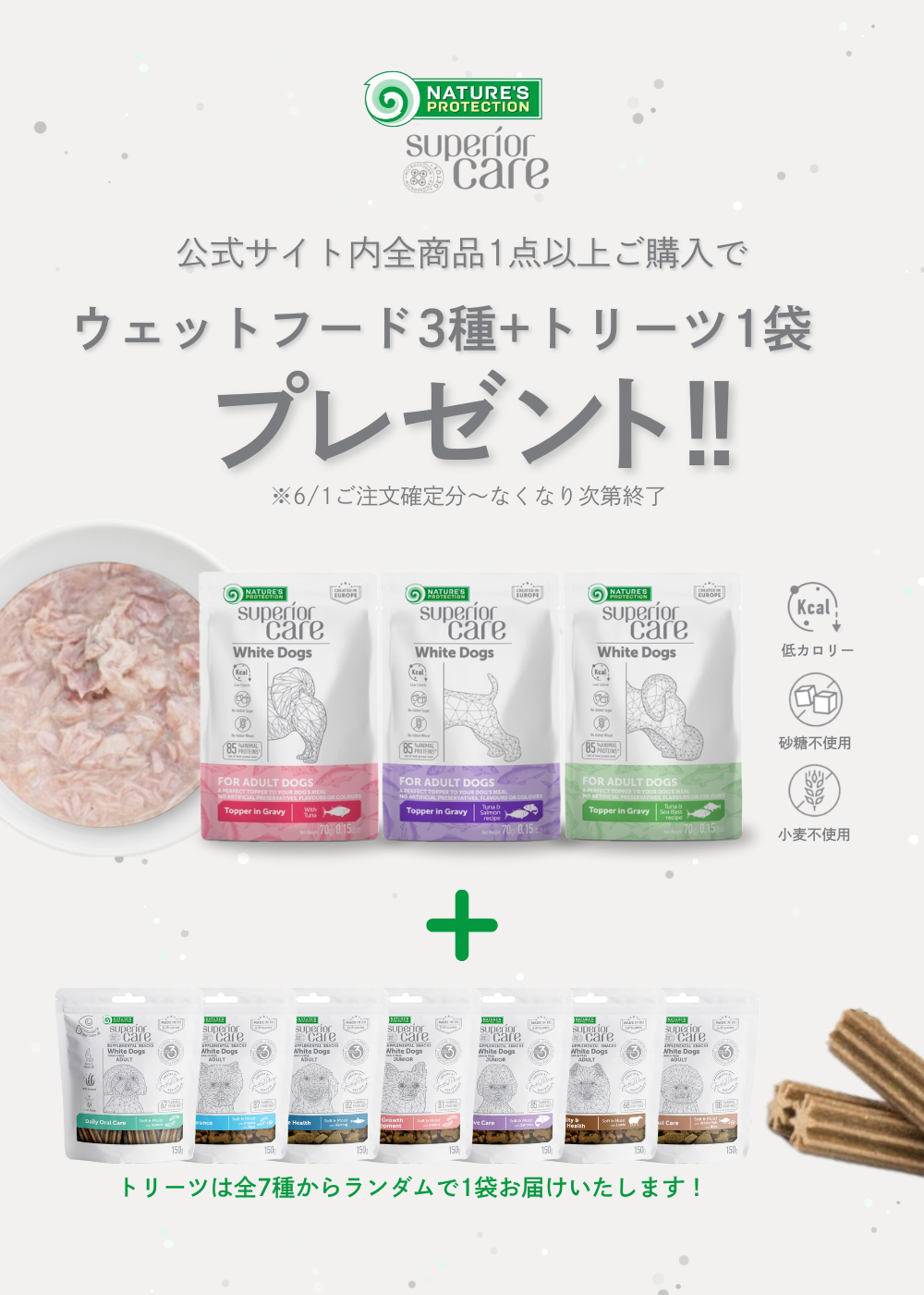 涙やけをケアするホワイトドッグ - 世界のトップブリーダー推奨