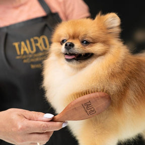 TAURO PRO LINE 20ｍｍステンレスピン付きブラシ　小(小型犬～中型犬推奨)