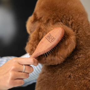 TAURO PRO LINE 20ｍｍステンレスピン付きブラシ大(中型犬～大型犬推奨)
