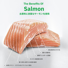 ホワイトドッグ グレインフリー サーモン アダルト 1.5kg