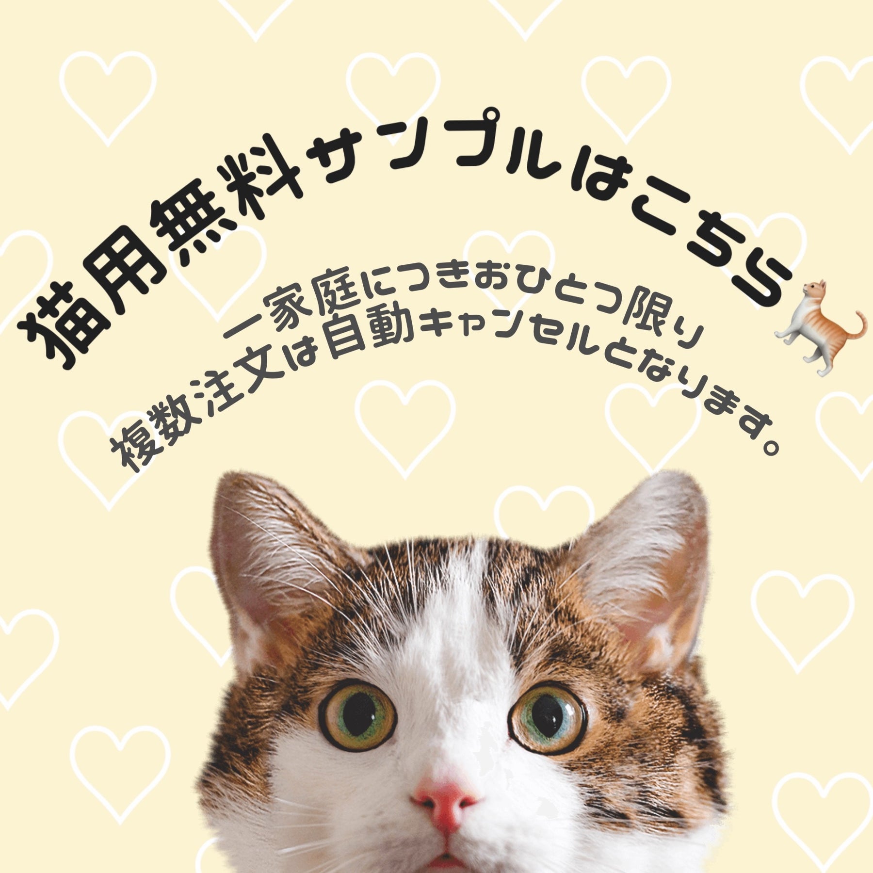 ★無料単品サンプル【いずれか1種類1袋のみ】 10ヵ月以上の成猫用※一世帯一回限り