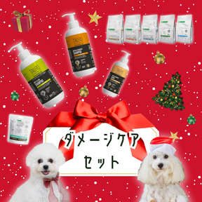 【クリスマス限定】ダメージケアセット