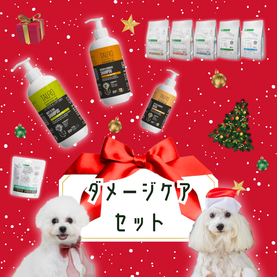 【クリスマス限定】ダメージケアセット