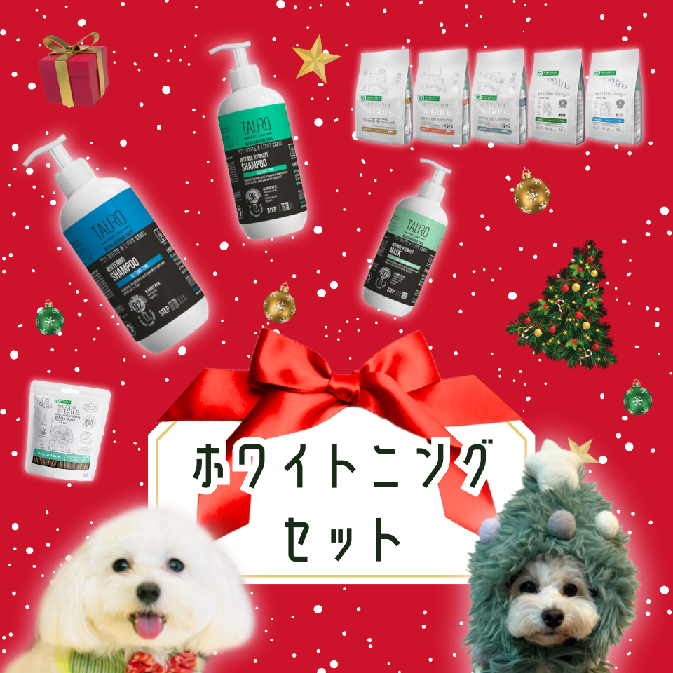 【クリスマス限定】ホワイトニングセット