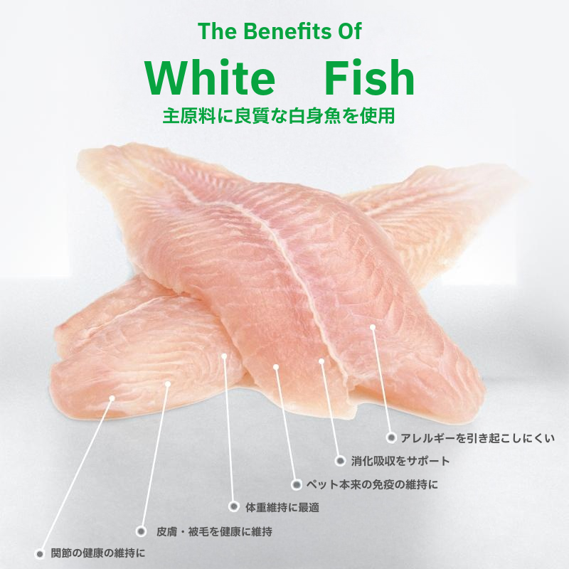 ホワイトドッグ グレインフリー ホワイトフィッシュ ジュニア 10kg